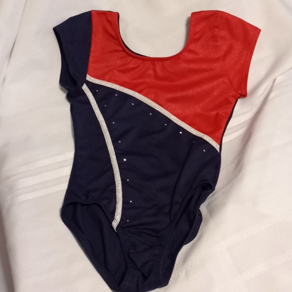 Danskin dance outfit